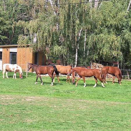 Krmelec S Virivkou U Danci Obory A Konskeho Vybehu Holiday home